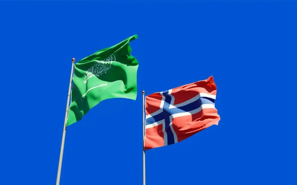 Norveç Suudi Arabistan Bayrakları Sanat Eseri — Stok fotoğraf