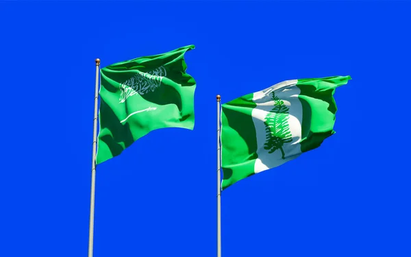 Flags Norfolk Island Saudi Arabia Artwork — Stock Photo, Image