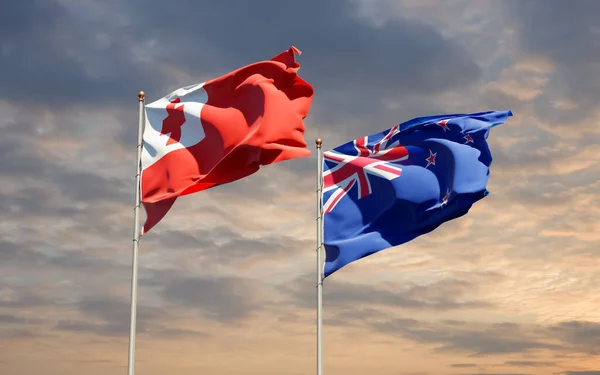 Flaggor Från Tonga Och Nya Zeeland Konstverk — Stockfoto
