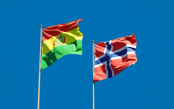 Flags Norway Bolivia Artwork — Stock Photo, Image