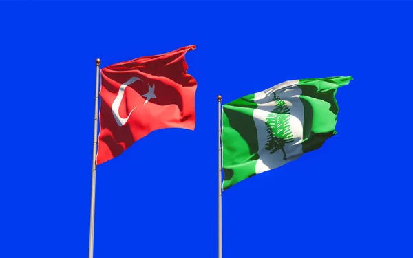 Banderas Isla Norfolk Turquía Obras Arte — Foto de Stock