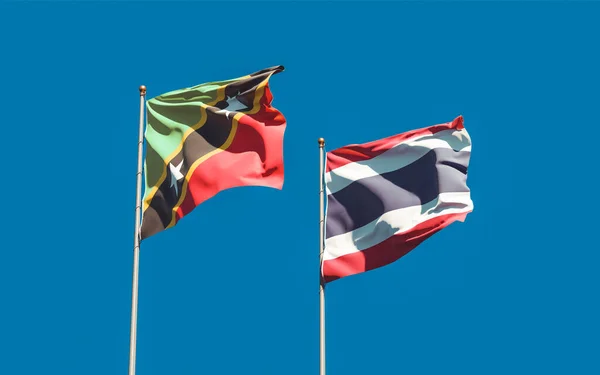 Saint Kitts Nevis Tayland Bayrakları Sanat Eseri — Stok fotoğraf