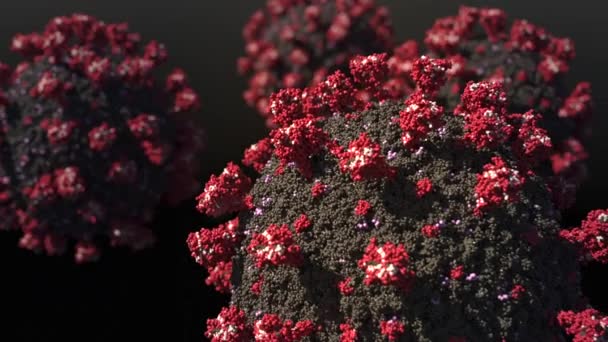 一个现实的Sars Cov 2病毒的科学模型 导致肺炎和Covid 19大流行的病毒粒子 — 图库视频影像