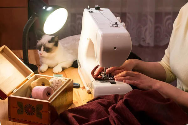 Woman Sewing Sewing Machine Siamese White Kitten Sitting Next Domestic — Stock Photo, Image