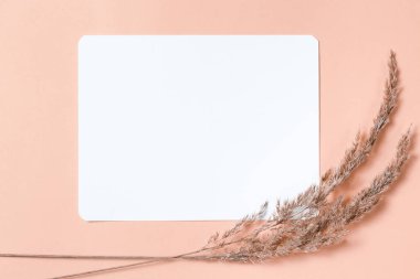 Sarı arka planda kuru tohumlu davetiye kopyası. Minimalizm kavramı. Uzayı kopyala, üst görünüm. Dikey. 2021 yılının trend rengi