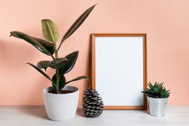Kopyalama alanı olan bir poster. Bir kapsül içinde ev bitkisi, kaktüs ve İskandinav tarzı bir iç mekanda posteri olan raflar. Pastel bej duvar, minimalizm.