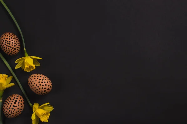 Easter flat lay with painted eggs and yellow narcissus flowers on the black surface. Painted eggs with black dots. Creative horizontal layout with copy space. Mockup for invitation, greeting cards.