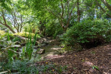 Su Toowoomba 'daki Japon bahçelerinde suni bir dereden akıyor. Arkasında çalılar ve ağaçlar var.