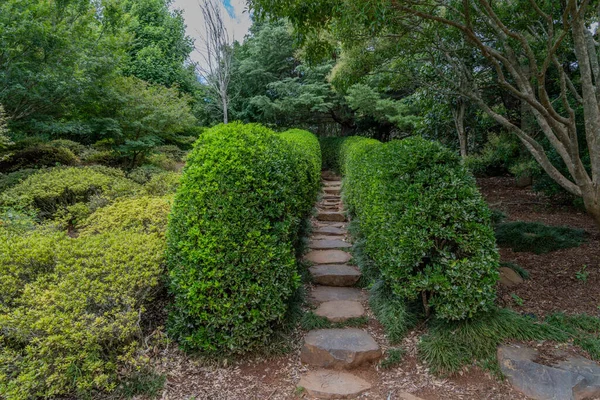 Stone Stairway Framed Bushes Japanese Garden Toowoomba — Stock Photo, Image