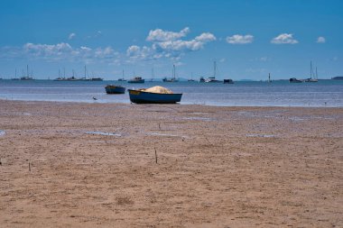 Kumlu bir sahilde mavi bulutlu bir gökyüzü