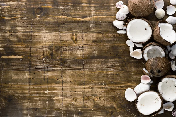 Fond d'été avec filet de pêche et noix de coco . — Photo