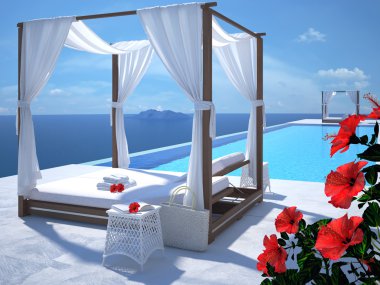 hibiscus çiçek lüks Yüzme Havuzu. 3D render