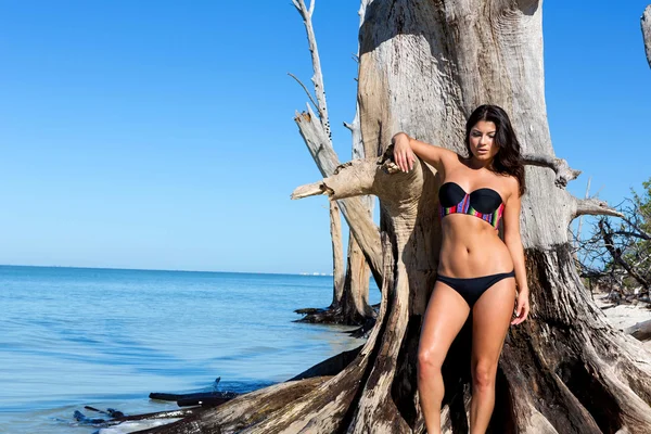 Donna in posa sulla spiaggia — Foto Stock