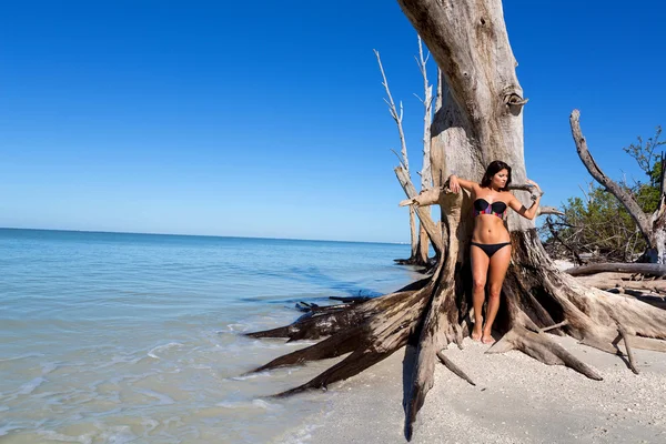 Женщина позирует на пляже — стоковое фото