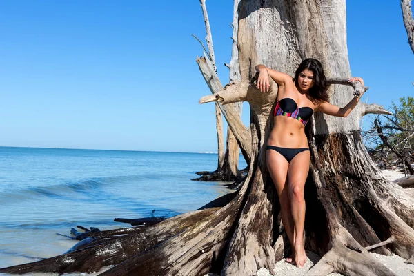 Mujer joven en la playa — Foto de Stock