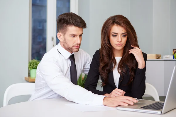 Portrait of executive employees — Stock Photo, Image