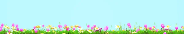 Frühlingswiese mit sonnigen Blumen. 3D-Darstellung — Stockfoto