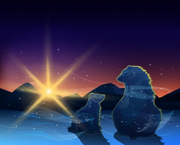 Gündoğumu izlerken ayılar