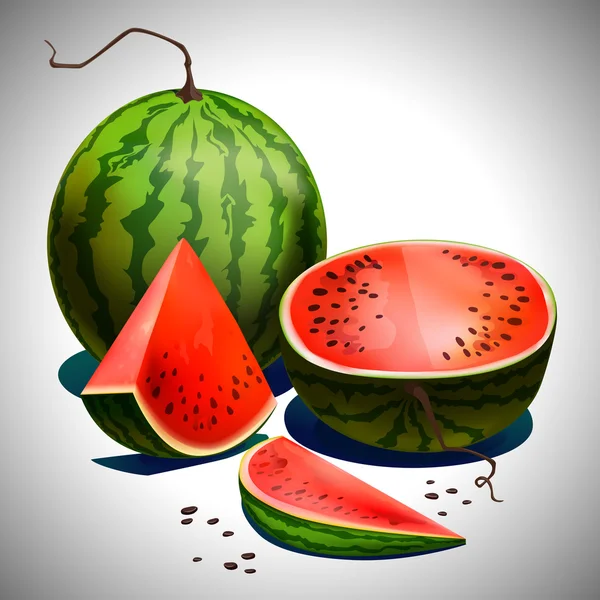 Realistic sliced watermelon — Stock Vector