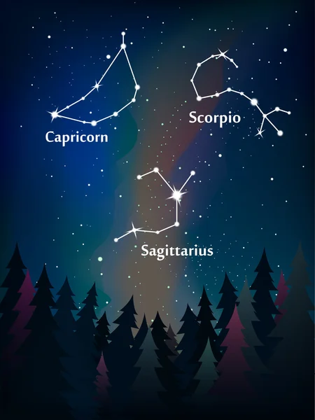 Zodiaco nel cielo notturno Illustrazione Stock