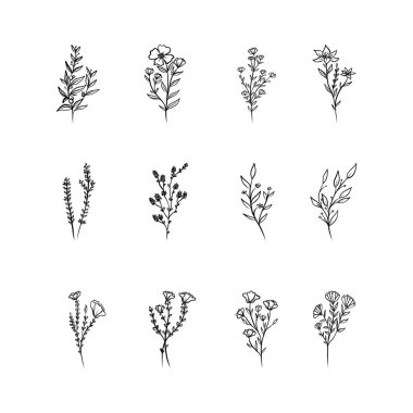 Çiçekli vektör tasarım elementleri. Davetiyeler için dekorasyon malzemeleri, düğün kartları, sevgililer günü, duvar resimleri, tebrik kartları. El çizimi vektör tasarımı elemanları. Vektör EPS10.