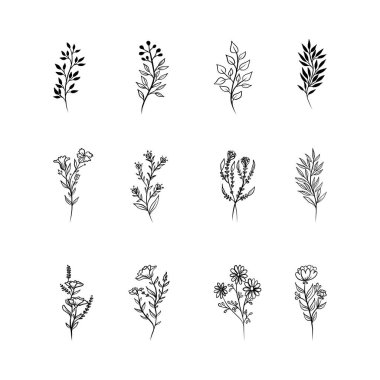 Çiçekli vektör tasarım elementleri. Davetiyeler için dekorasyon malzemeleri, düğün kartları, sevgililer günü, duvar resimleri, tebrik kartları. El çizimi vektör tasarımı elemanları. Vektör EPS10.