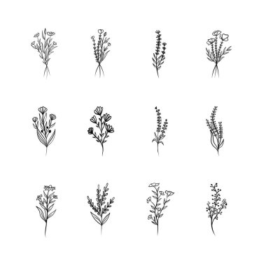 Çiçekli vektör tasarım elementleri. Davetiyeler için dekorasyon malzemeleri, düğün kartları, sevgililer günü, duvar resimleri, tebrik kartları. El çizimi vektör tasarımı elemanları. Vektör EPS10.