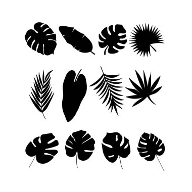 Duvar dekorasyonu, kartpostal ya da broşür kapağı tasarımı için yaratıcı minimalist el çizimleri. El çizimi vektör tasarımı elemanları. Vektör EPS10.