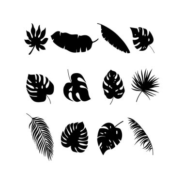 Duvar dekorasyonu, kartpostal ya da broşür kapağı tasarımı için yaratıcı minimalist el çizimleri. El çizimi vektör tasarımı elemanları. Vektör EPS10.