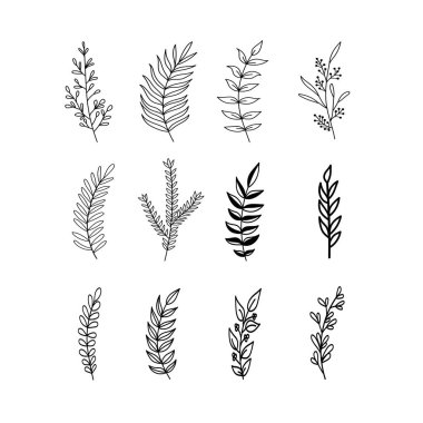 Duvar dekorasyonu, kartpostal ya da broşür kapağı tasarımı için yaratıcı minimalist el çizimleri. El çizimi vektör tasarımı elemanları. Vektör EPS10.