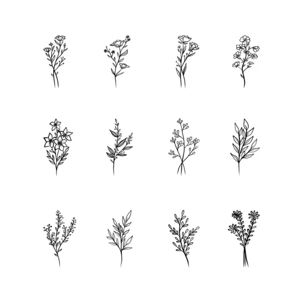 Набір Векторних Елементів Квіткового Дизайну Елементи Декору Запрошень Весільних Листівок — стоковий вектор