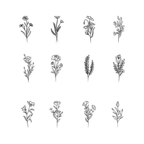 Набір Векторних Елементів Квіткового Дизайну Елементи Декору Запрошень Весільних Листівок — стоковий вектор