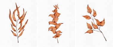 Duvar dekorasyonu, kartpostal, broşür kapağı tasarımı, düğün kırtasiyesi, selamlama, duvar kağıtları, moda, arka plan ve diğer fikirler için suluboya çizimleri..