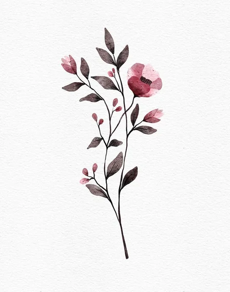 Watercolor Floral Illustrations Wall Decoration Postcard Brochure Cover Design Wedding — 图库照片