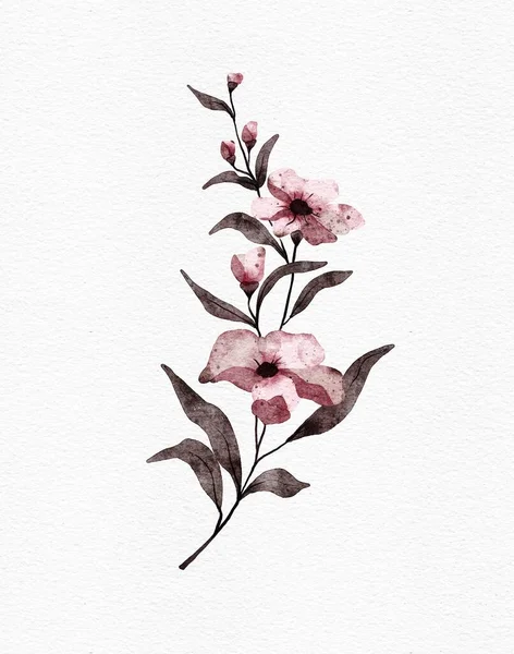 Duvar dekorasyonu, kartpostal, broşür kapağı tasarımı, düğün kırtasiyesi, selamlar, duvar kağıtları, moda ve diğer fikirler için suluboya çizimler.