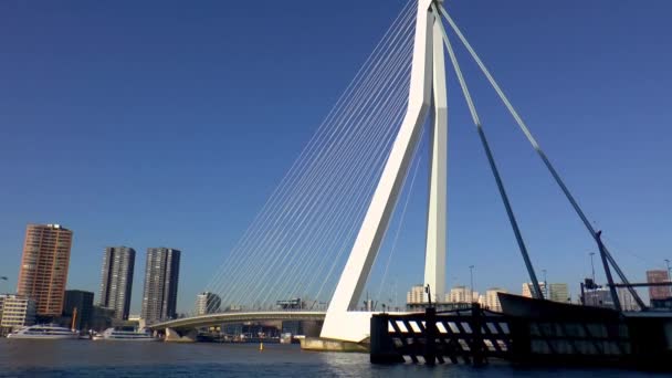 Tilt Shot Van Erasmusbrug Rotterdam — Stockvideo