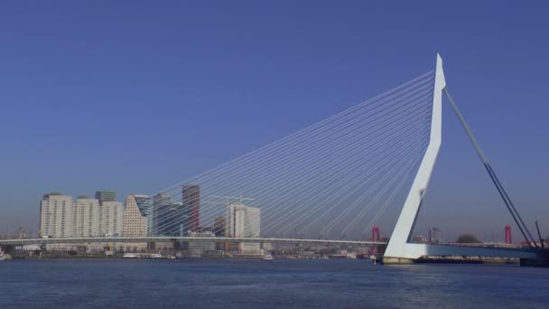 Most Erasmus Rotterdamu Populárně Označované Jako Labuť — Stock video