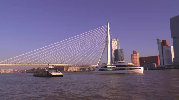Tömegközlekedés Rotterdamban Erasmus Híd Melletti Maasi Vízibusz — Stock videók