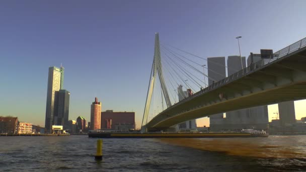 Most Erasmus Rotterdamu Západem Slunce Shlížejícím Zdola — Stock video
