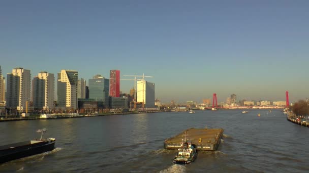 ウィレムス橋とロッテルダムのスカイライン — ストック動画