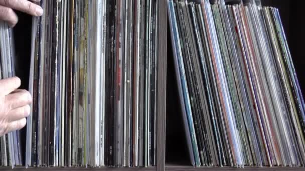 Searching Record Other Upright Vinyls — Stock Video