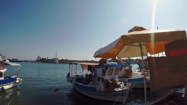 Pequenos Barcos Pesca Peixe Fresco Porto Grego Kos — Vídeo de Stock