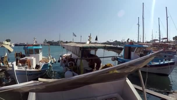 Małe Łodzie Rybackie Świeże Ryby Greckim Porcie Kos Town — Wideo stockowe