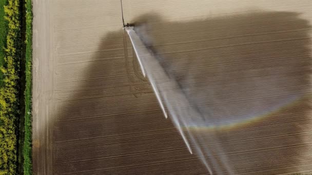 Filmato Aereo Rallentatore Sistema Irrigazione Terreni Agricoli Spray Provoca Arcobaleno — Video Stock