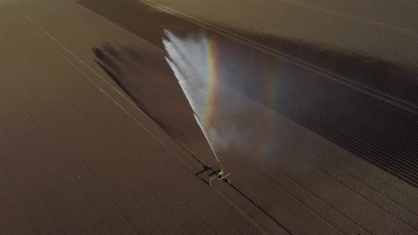 Imagens Drones Aspersor Agrícola Spray Causa Arco Íris — Vídeo de Stock