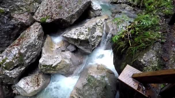 Πέτρες Στα Τρεχούμενα Νερά Του Seisenbergklamm — Αρχείο Βίντεο