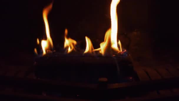 Close Burning Log Fireplace Black Background Looping — Vídeo de stock