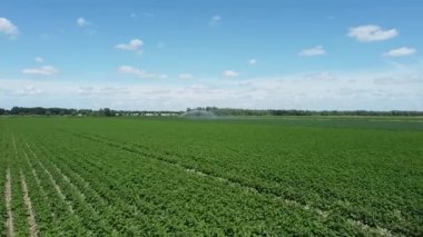 Tarımsal ekinlerin üzerinde insansız hava aracı uçurmak. Sulama fıskiyesi veya Sektör fıskiyesi ekinleri suluyor