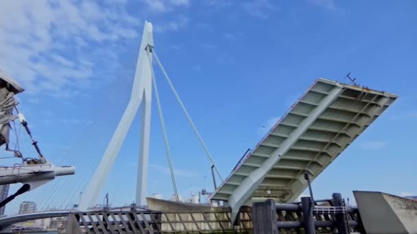 ロッテルダムのエラスムス橋は輸送に開放されています — ストック動画
