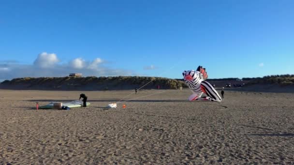 赤のスローモーションでビーチで観賞魚の形をした大きな凧60 Fps — ストック動画
